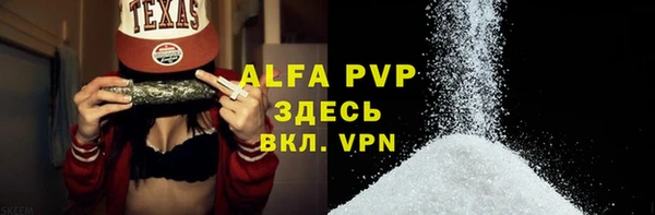 мяу мяу мука Абаза