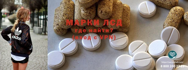 альфа пвп Гусев