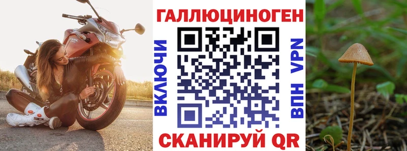 blacksprut tor  Зубцов  Псилоцибиновые грибы Magic Shrooms 