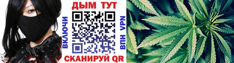 Каннабис SATIVA & INDICA  Зубцов 